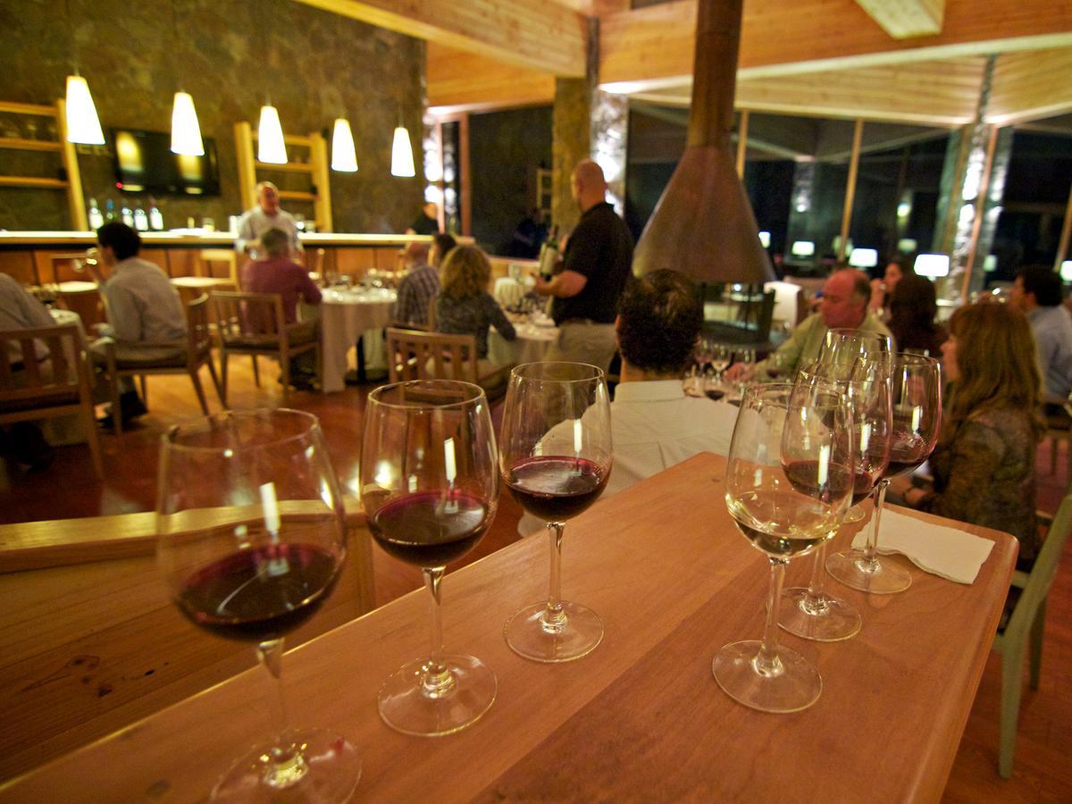 Noi Puma Lodge Machalí Dış mekan fotoğraf